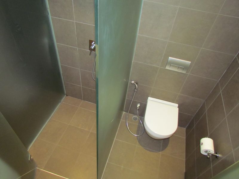 Separated by frosted glass, the shower and loo sit next to each other.